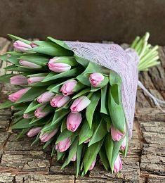 Букет "Зелёная весна" из 35 тюльпанов