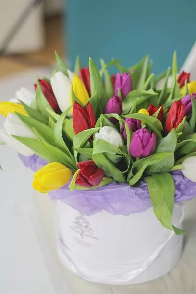 25 голландских тюльпанов в коробку 3