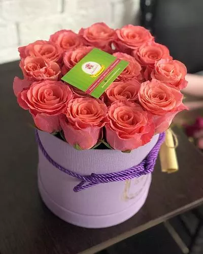 15 голландских роз в коробку 3