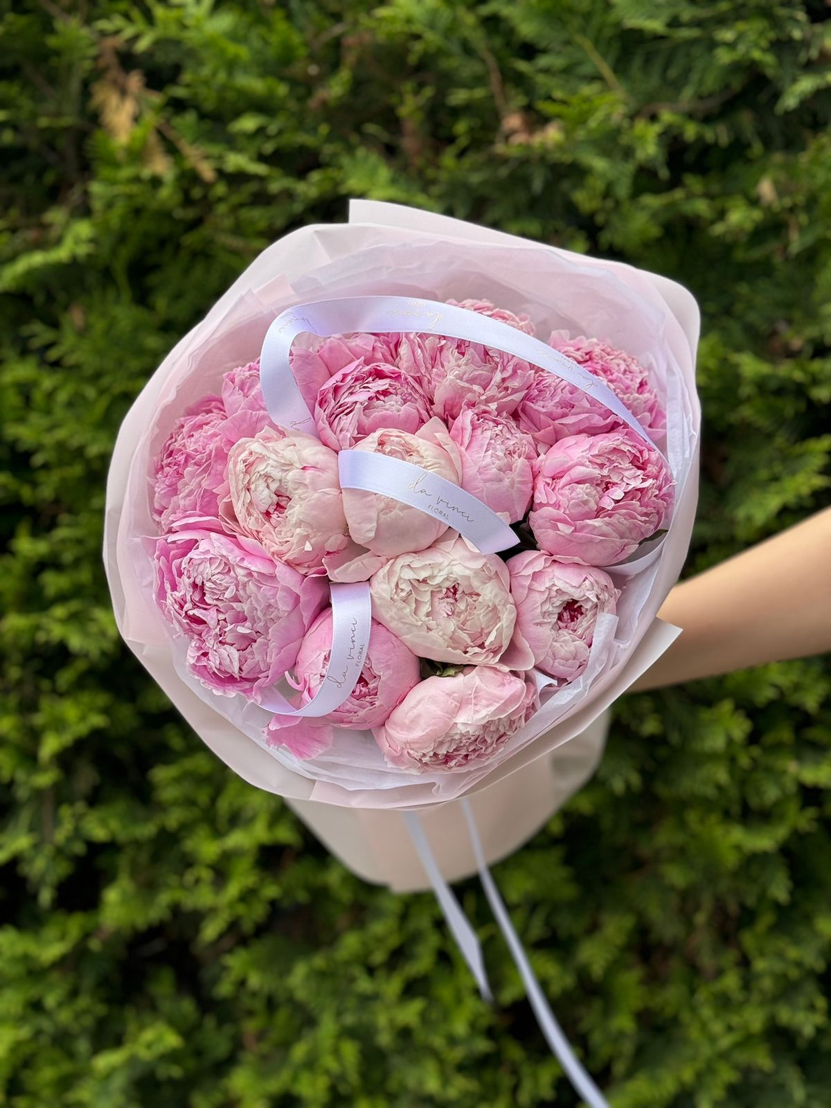 15 розовых голландских пионов в оформлении