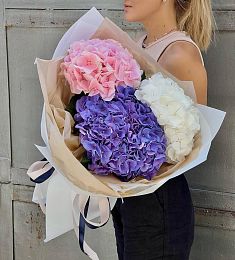 Букет "Дэйли" M из гортензий 