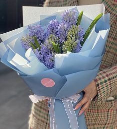 11 гиацинтов в оформлении