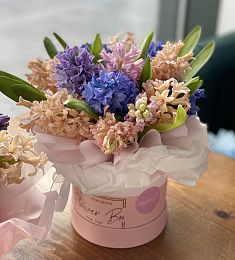 11 гиацинтов в стильную коробку