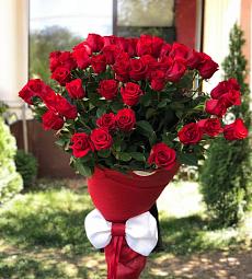 Букет из 51 красной голландской розы